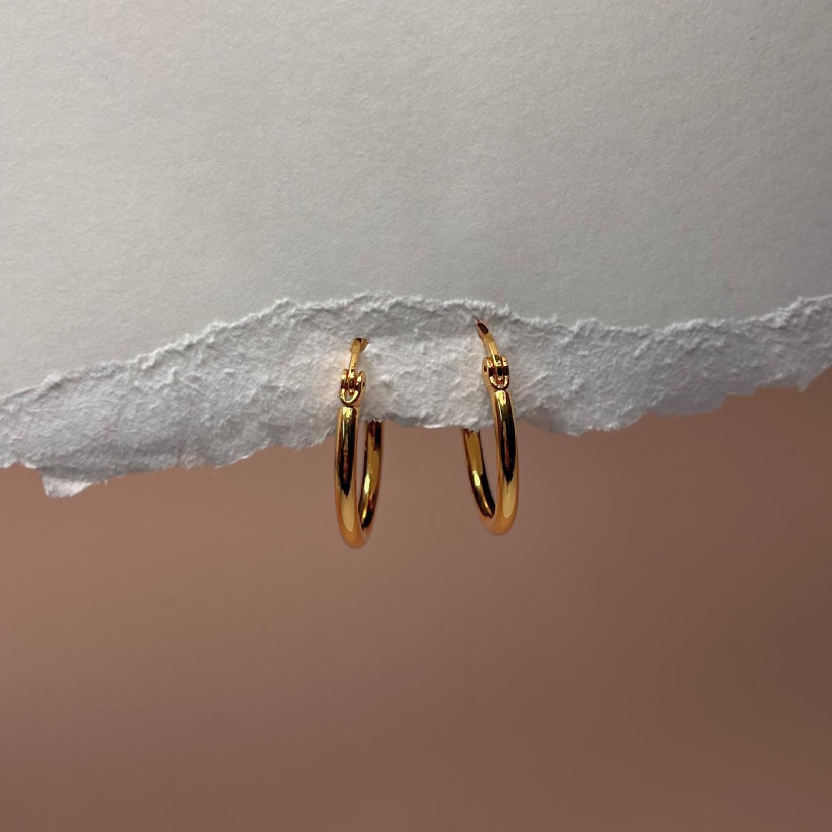 Small Gold Hoop Earrings