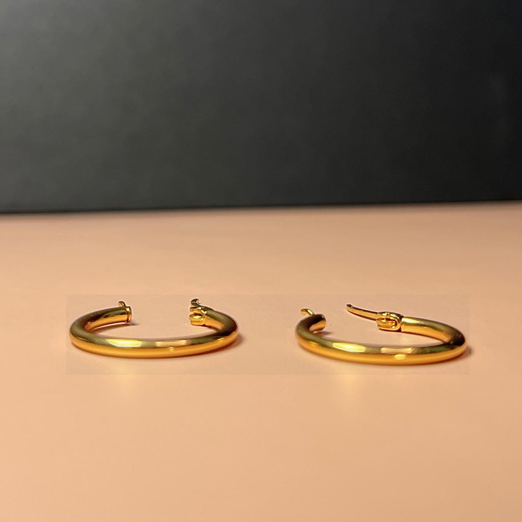 Small Gold Hoop Earrings